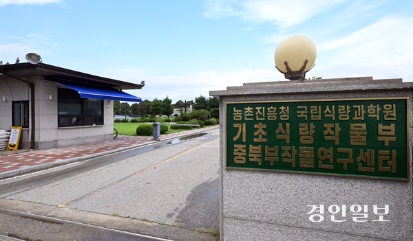 전북혁신도시에 있는 국립식량과학원 소속 일부 식품 연구 부서를 수원으로 이전하는 방안이 추진됐으나 정치권 등의 반발로 무산됐다. 사진은 수원시 권선구에 위치한 농촌진흥청 국립식량과학원 중북부 작물연구센터의 모습. 2025.9.1 /임열수기자 pplys@kyeongin.com