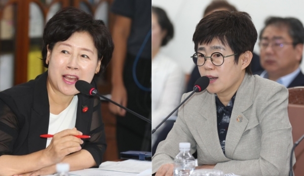 지난 12일 442회 임시회에서 제주도의회 행정자치원회 소속 이경심 의원(더불어민주당·비례대표.왼쪽)이 김인영 제주도 특별치행정국장을 상대로 질의하고 있다.