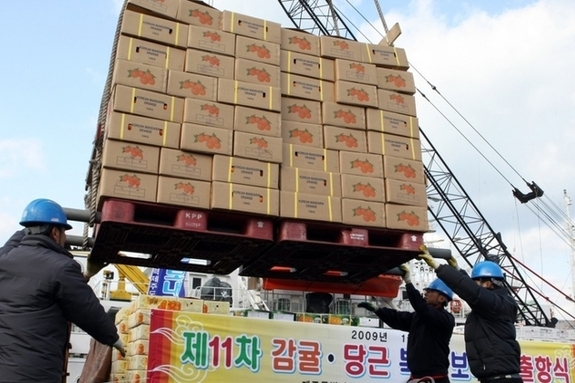 (제주일보) '비타민C 외교' 제주 감귤 북한 보내기 재개되나