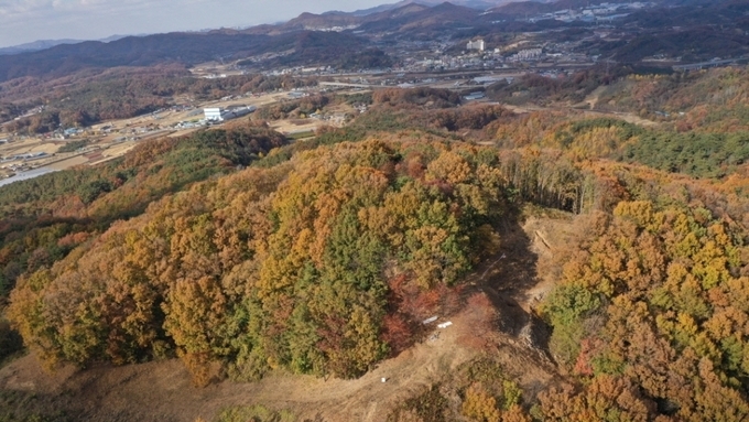 (대전일보) '차세대 문화유산' 발굴 나선다