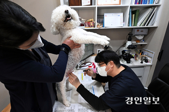 (경인일보) 고무줄 진료비… 기본 의료비·몸무게 추가 ‘천차만별’ [불신과 위협, 길 잃은 동물 의료·(上)]