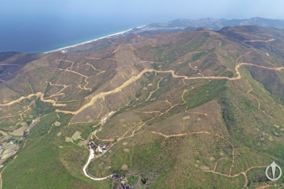 (강원일보) 소나무 일색 조림이 산불 더 키웠다