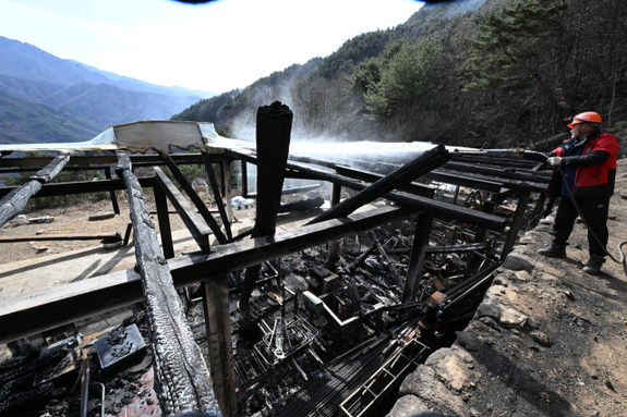 (경남신문) [함양 마천면 산불] 인명피해 없었다… “마지막 잔불 진화 총력”