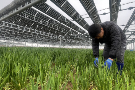 (광주일보)농촌 미래 밝힐 사업…특별법 통과·농지법 개정 시급